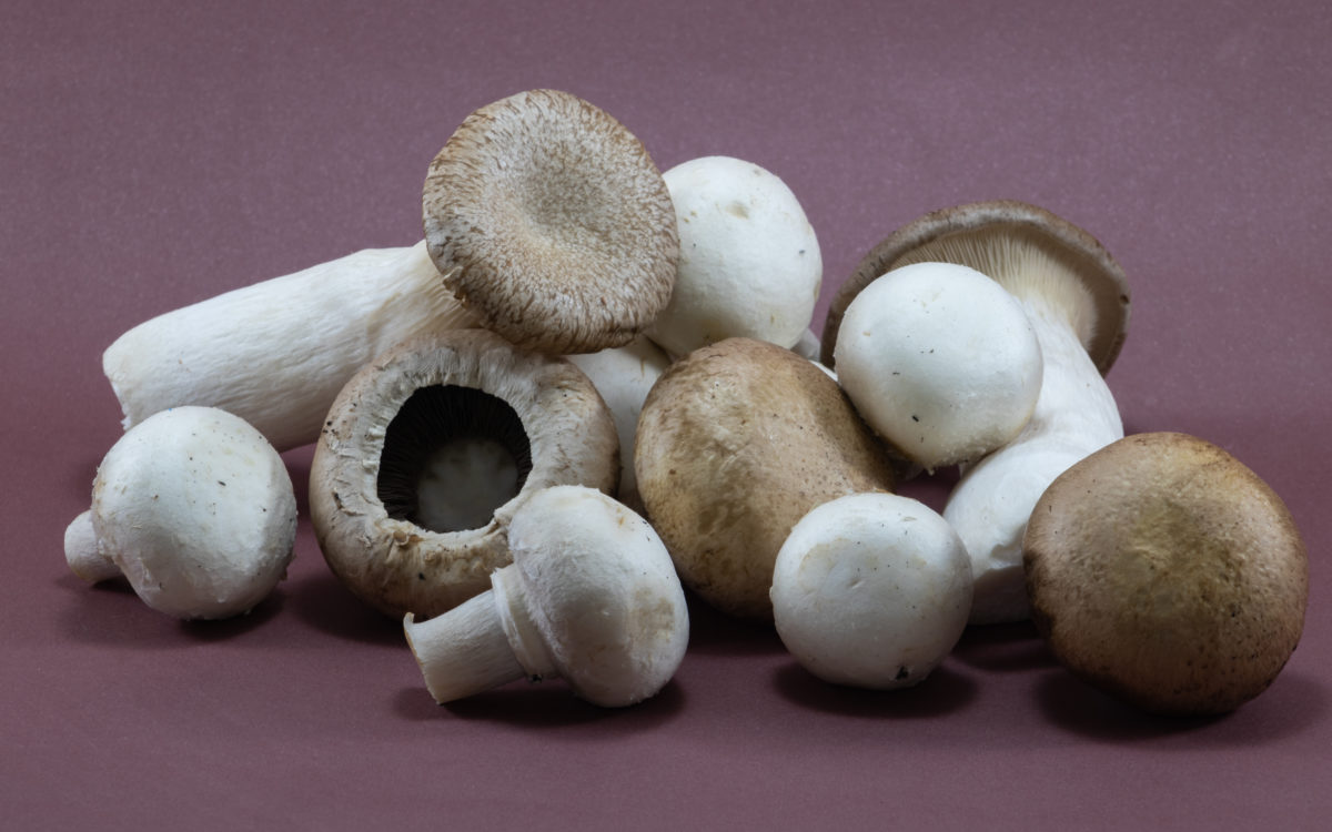 Imagem de capa de Como higienizar os cogumelos