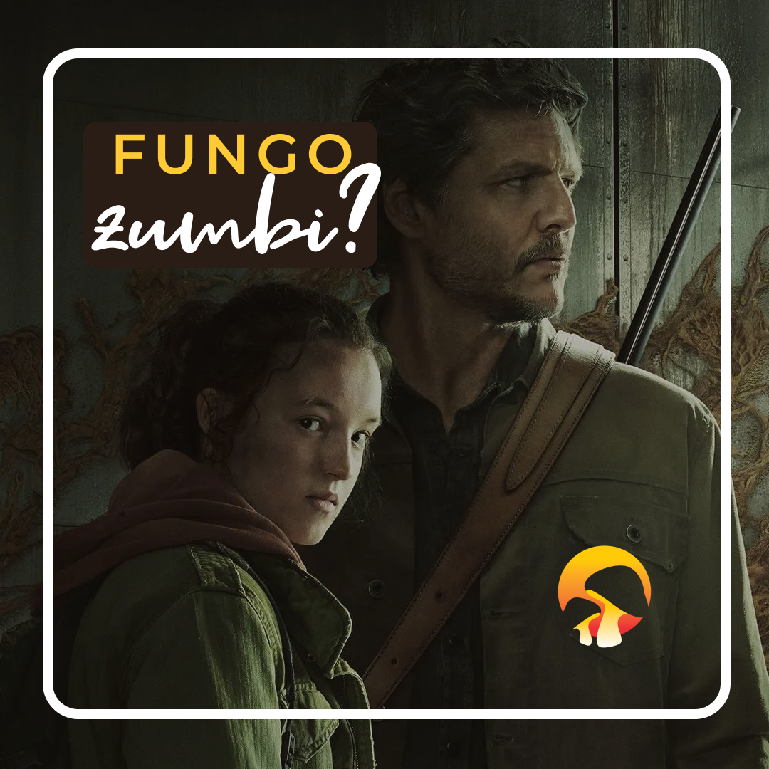 Imagem de capa de Fungo de 